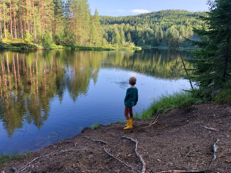 Het besluit is genomen…