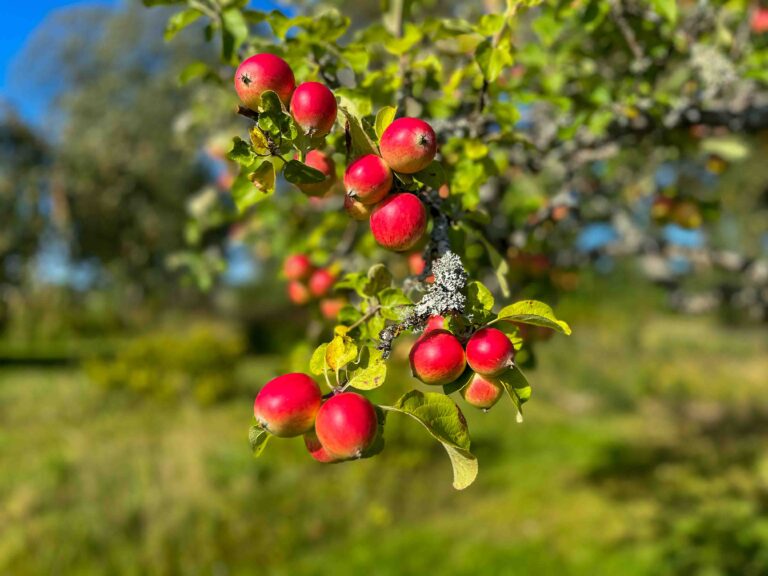 Aan de vakantie komt een eind